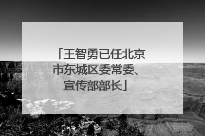 王智勇已任北京市东城区委常委、宣传部部长