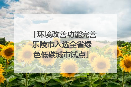 环境改善功能完善 乐陵市入选全省绿色低碳城市试点