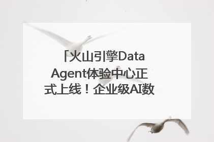 火山引擎Data Agent体验中心正式上线！企业级AI数据专家触手可及