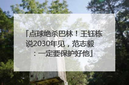 点球绝杀巴林！王钰栋说2030年见，范志毅：一定要保护好他