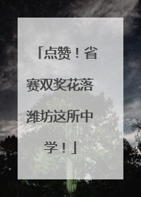点赞！省赛双奖花落潍坊这所中学！