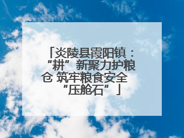 炎陵县霞阳镇：“耕”新聚力护粮仓 筑牢粮食安全“压舱石”