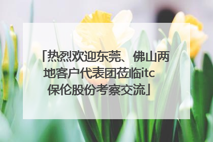 热烈欢迎东莞、佛山两地客户代表团莅临itc保伦股份考察交流