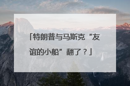 特朗普与马斯克“友谊的小船”翻了？