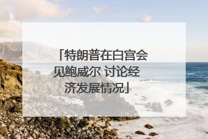 特朗普在白宫会见鲍威尔 讨论经济发展情况