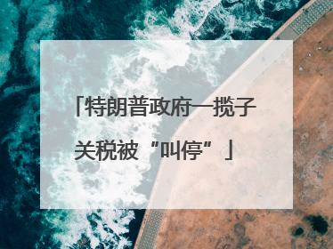 特朗普政府一揽子关税被“叫停”