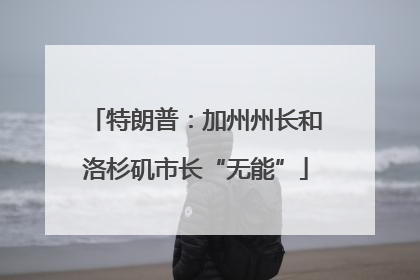 特朗普：加州州长和洛杉矶市长“无能”
