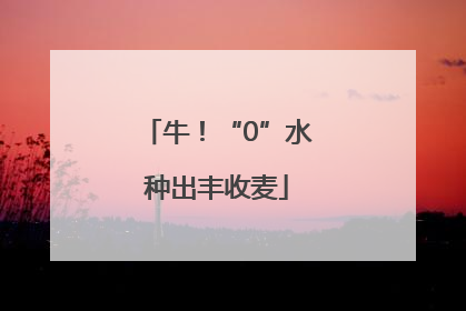 牛！“0”水种出丰收麦