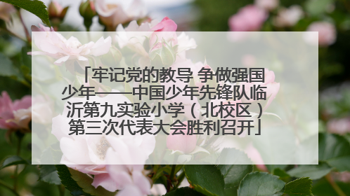 牢记党的教导 争做强国少年——中国少年先锋队临沂第九实验小学（北校区）第三次代表大会胜利召开