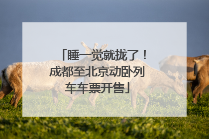 睡一觉就拢了！成都至北京动卧列车车票开售