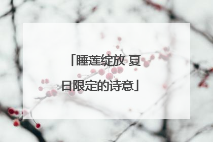 睡莲绽放 夏日限定的诗意