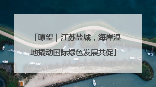 瞭望｜江苏盐城，海岸湿地撬动国际绿色发展共促