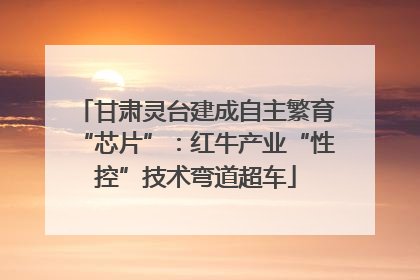 甘肃灵台建成自主繁育“芯片”：红牛产业“性控”技术弯道超车