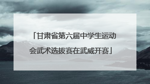 甘肃省第六届中学生运动会武术选拔赛在武威开赛
