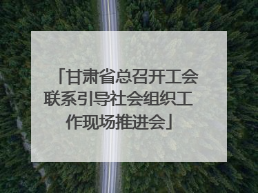 甘肃省总召开工会联系引导社会组织工作现场推进会