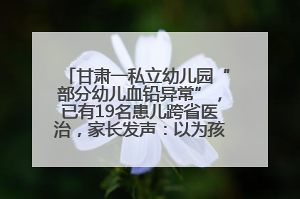 甘肃一私立幼儿园“部分幼儿血铅异常”，已有19名患儿跨省医治，家长发声：以为孩子出问题，没想过会与学校有关