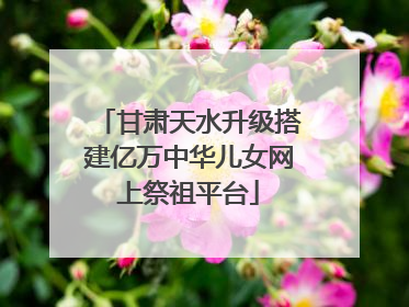 甘肃天水升级搭建亿万中华儿女网上祭祖平台