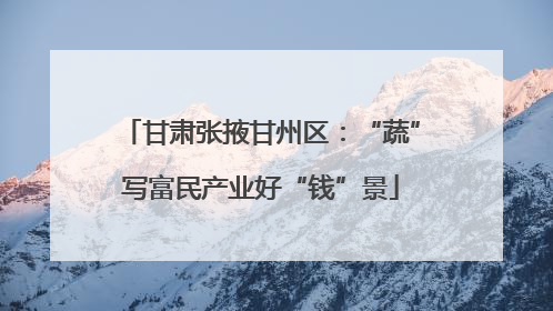 甘肃张掖甘州区：“蔬”写富民产业好“钱”景