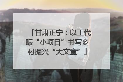 甘肃正宁：以工代赈“小项目”书写乡村振兴“大文章”