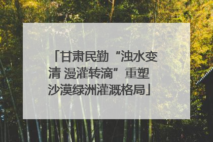 甘肃民勤“浊水变清 漫灌转滴”重塑沙漠绿洲灌溉格局