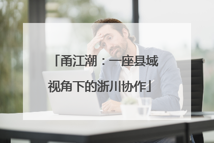 甬江潮：一座县域视角下的浙川协作