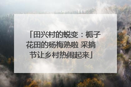 田兴村的蜕变：栀子花田的杨梅熟啦 采摘节让乡村热闹起来