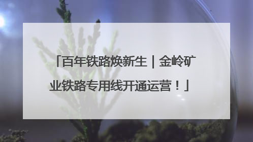 百年铁路焕新生｜金岭矿业铁路专用线开通运营！