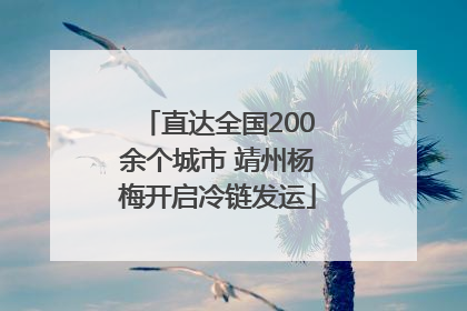 直达全国200余个城市 靖州杨梅开启冷链发运