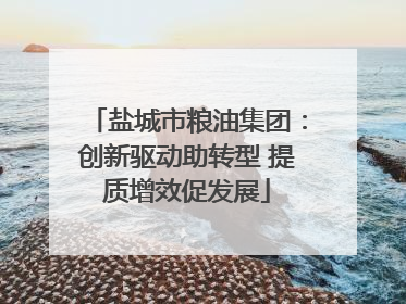 盐城市粮油集团：创新驱动助转型 提质增效促发展
