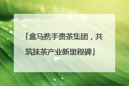 盒马携手贵茶集团，共筑抹茶产业新里程碑