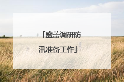 盛蕾调研防汛准备工作