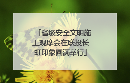 省级安全文明施工观摩会在联投长虹印象圆满举行