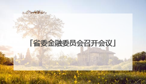 省委金融委员会召开会议