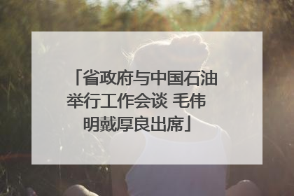 省政府与中国石油举行工作会谈 毛伟明戴厚良出席