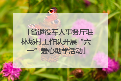 省退役军人事务厅驻林场村工作队开展“六一”爱心助学活动