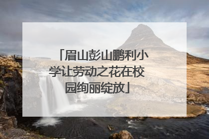 眉山彭山鹏利小学让劳动之花在校园绚丽绽放