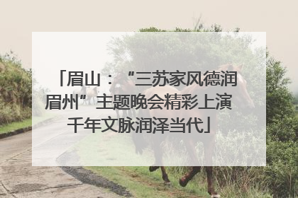 眉山：“三苏家风德润眉州”主题晚会精彩上演千年文脉润泽当代