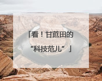 看！甘蔗田的“科技范儿”