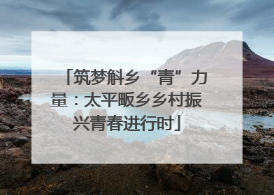 筑梦斛乡“青”力量：太平畈乡乡村振兴青春进行时