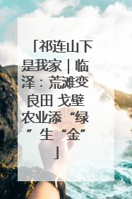 祁连山下是我家｜临泽：荒滩变良田 戈壁农业添“绿”生“金”