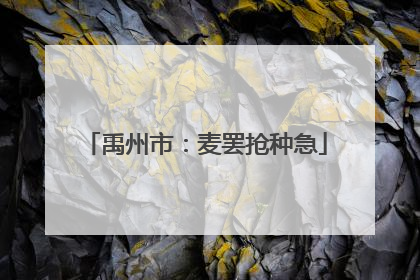 禹州市：麦罢抢种急