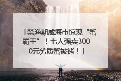 禁渔期威海市惊现“蟹霸王”！七人强卖3000元劣质蟹被铐！