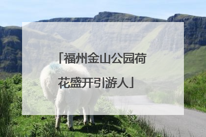 福州金山公园荷花盛开引游人