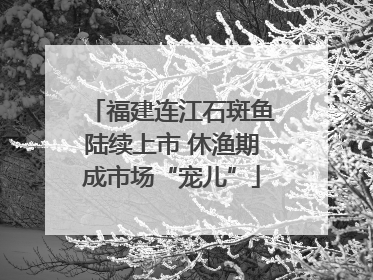 福建连江石斑鱼陆续上市 休渔期成市场“宠儿”