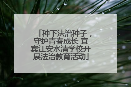种下法治种子，守护青春成长 宜宾江安水清学校开展法治教育活动