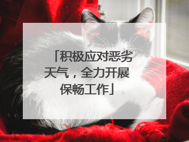 积极应对恶劣天气，全力开展保畅工作