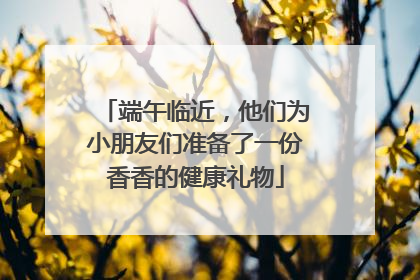 端午临近，他们为小朋友们准备了一份香香的健康礼物