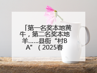 第一名奖本地黄牛，第二名奖本地羊……县街“村BA”（2025春季赛）圆满完赛
