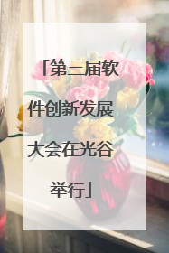 第三届软件创新发展大会在光谷举行