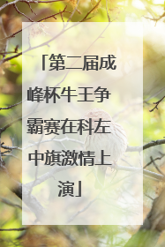 第二届成峰杯牛王争霸赛在科左中旗激情上演